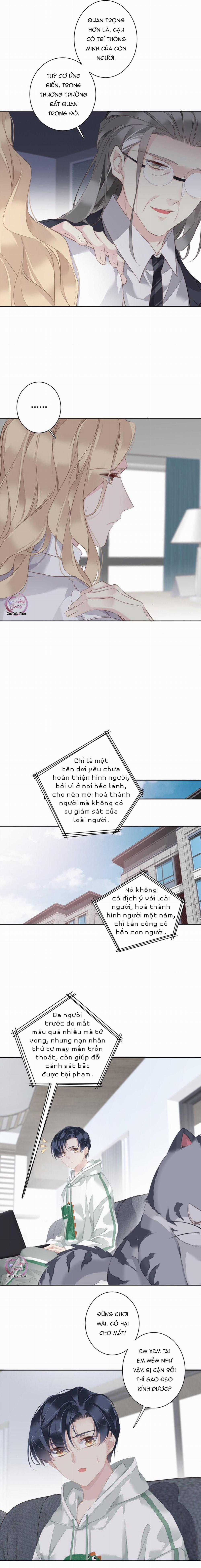 Cuộc Mai Mối Vượt Giống Loài 37 trang 7