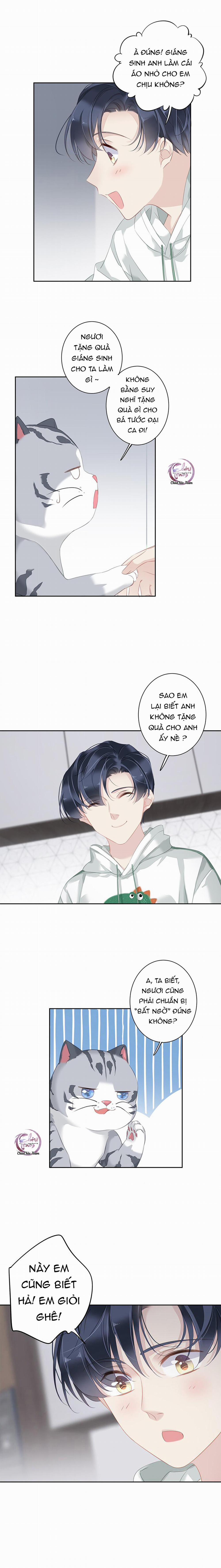 Cuộc Mai Mối Vượt Giống Loài 38 trang 8