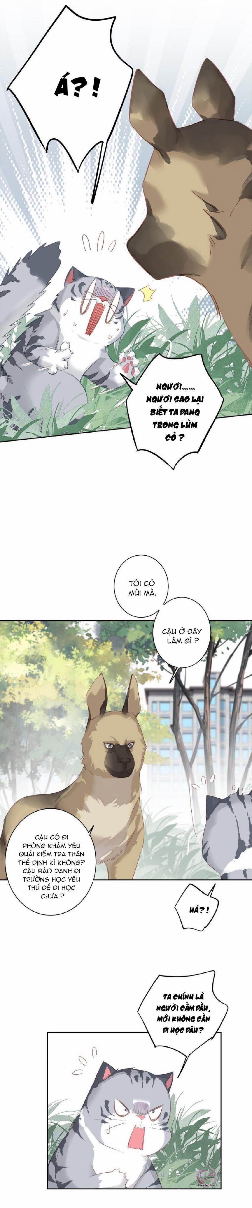 Cuộc Mai Mối Vượt Giống Loài 47 trang 1