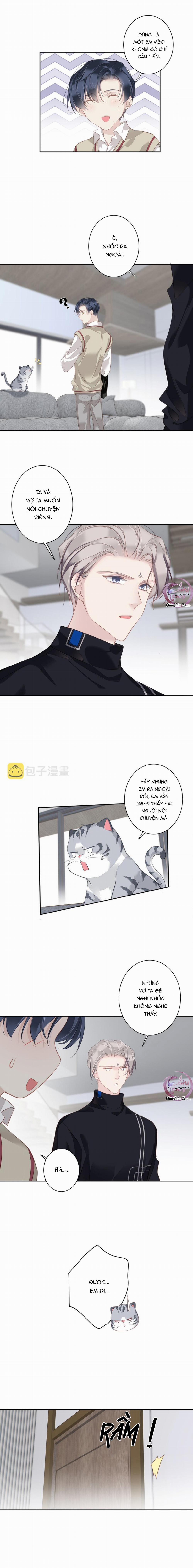 Cuộc Mai Mối Vượt Giống Loài 49 trang 1