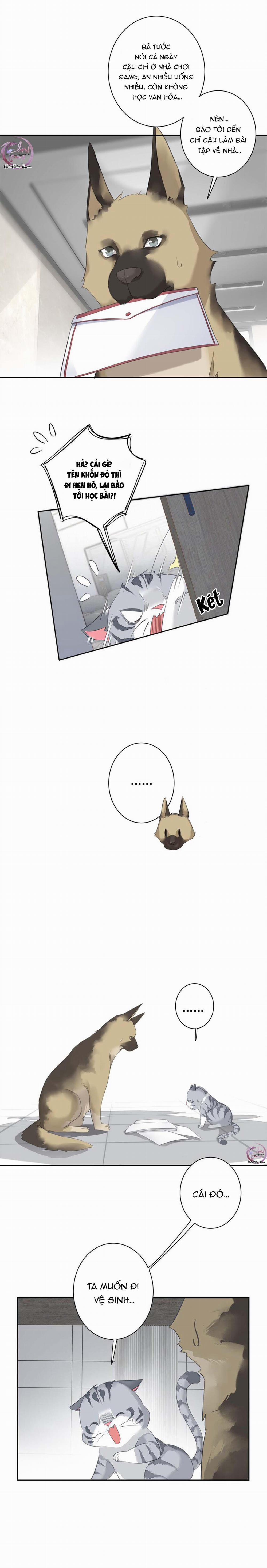 Cuộc Mai Mối Vượt Giống Loài 54 trang 5