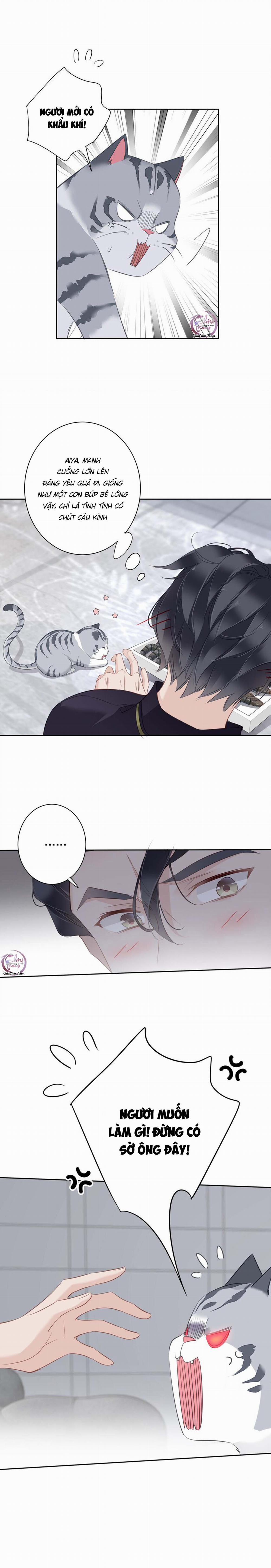 Cuộc Mai Mối Vượt Giống Loài 54 trang 8