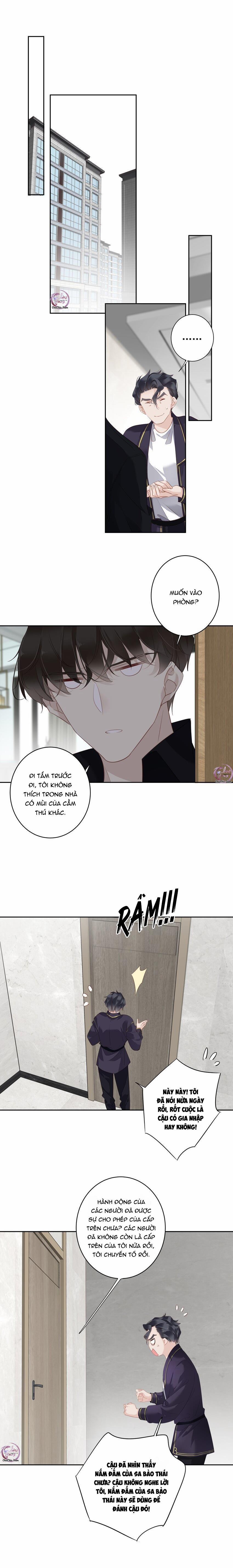 Cuộc Mai Mối Vượt Giống Loài 59 trang 8