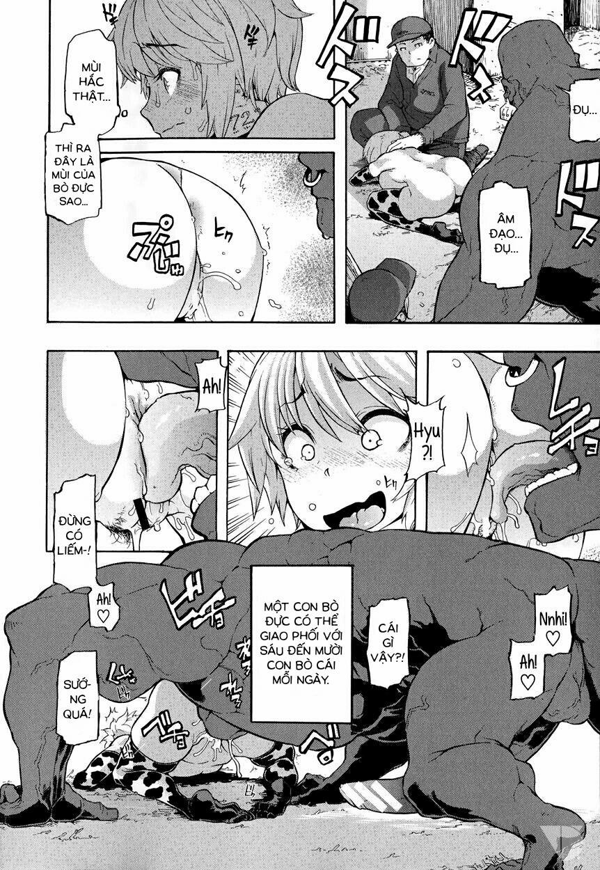 Cuộc sống của bò sữa Oneshot trang 10