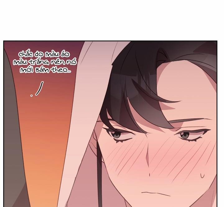 Cuộc Sống Hai Mặt Của Thần Tượng 21 trang 5