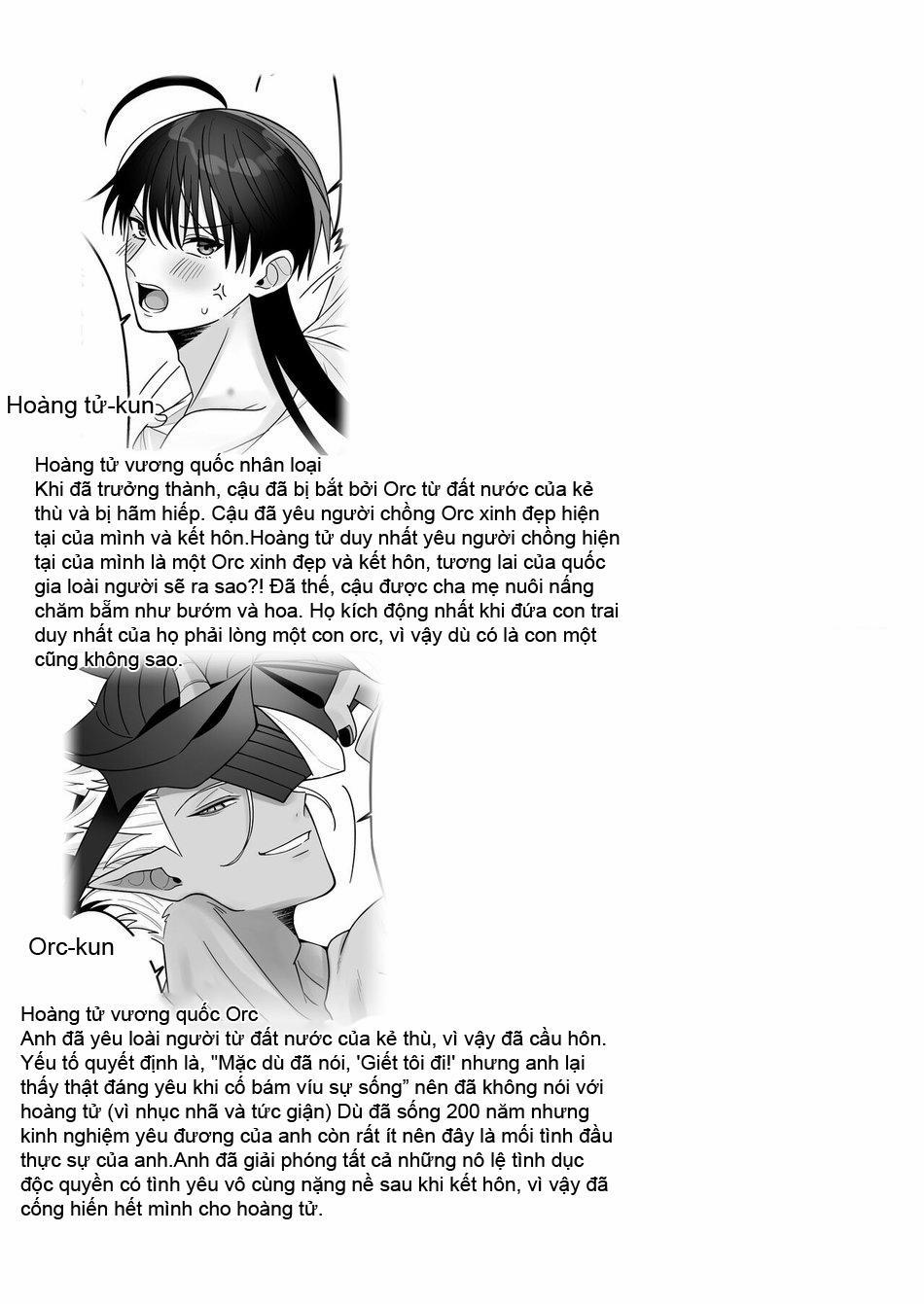 CUỘC SỐNG HÔN NHÂN CỦA HOÀNG TỬ VÀ ORC 1 trang 3