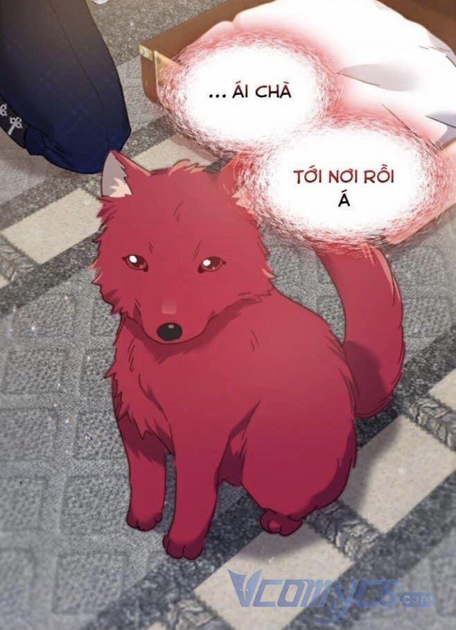 Cuộc Sống Mới Của Cặp Song Sinh 96.5 trang 1