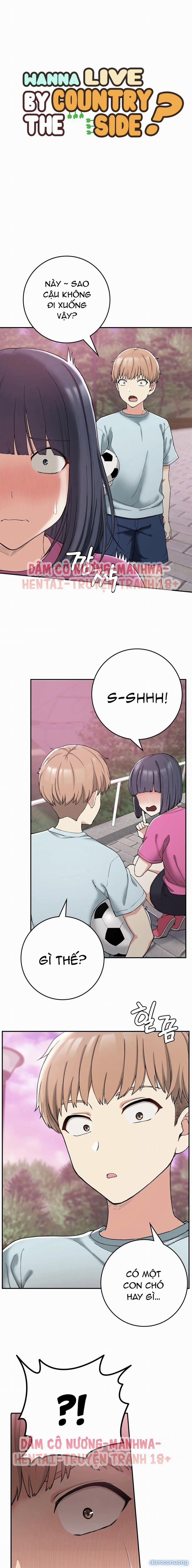 Cuộc Sống Nơi Thôn Quê 21 trang 0