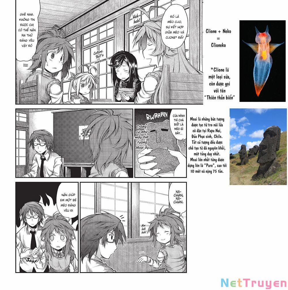 Cuộc Sống Thường Ngày 7 trang 13