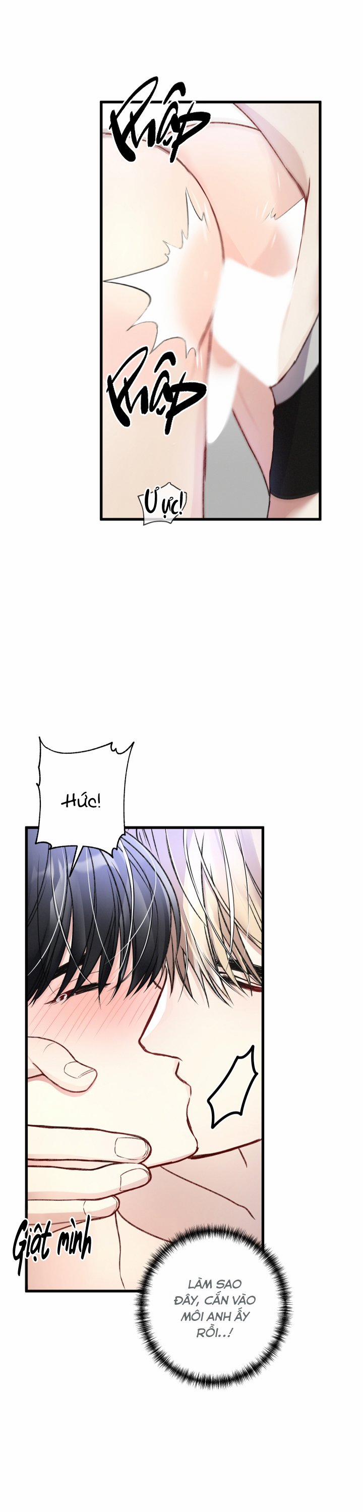 Cuộc Sống Thường Nhật Của Một Guide Phổ Quát 37 trang 14