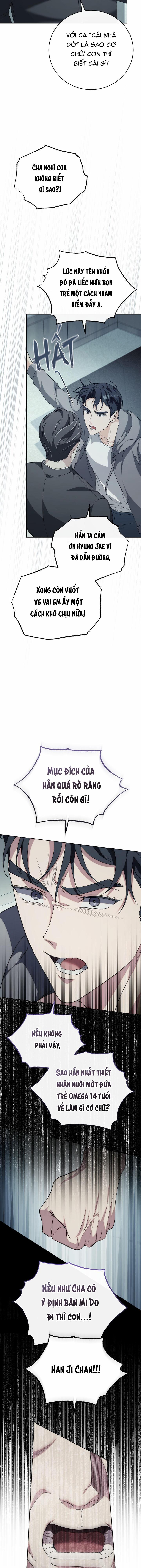 Cuộc Tình Dang Dở 13 trang 11