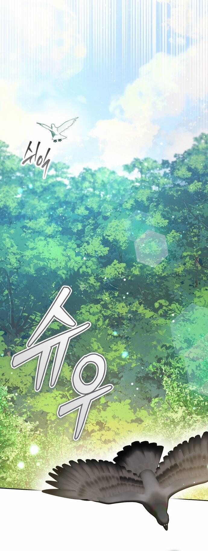 CƯỚP DÂU 65.2 trang 17