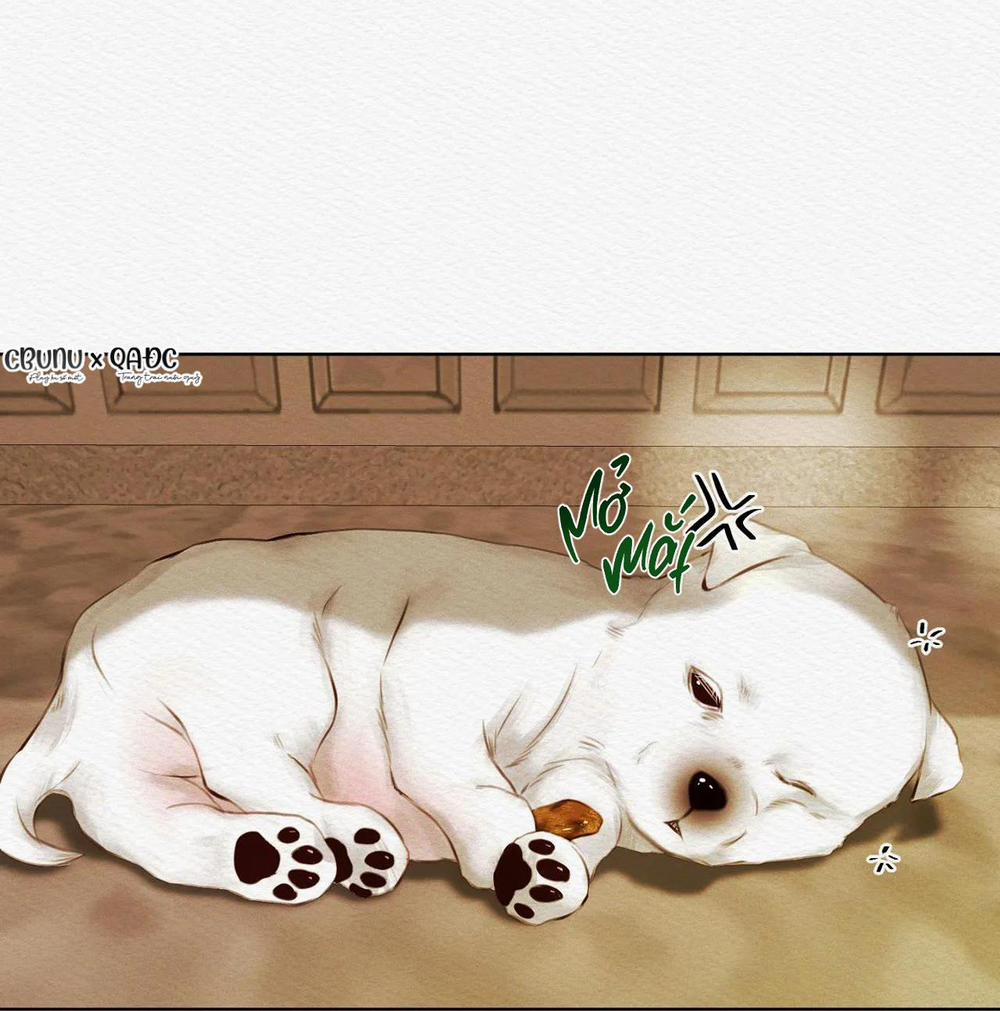 Củy Dạ Khút 13 trang 5