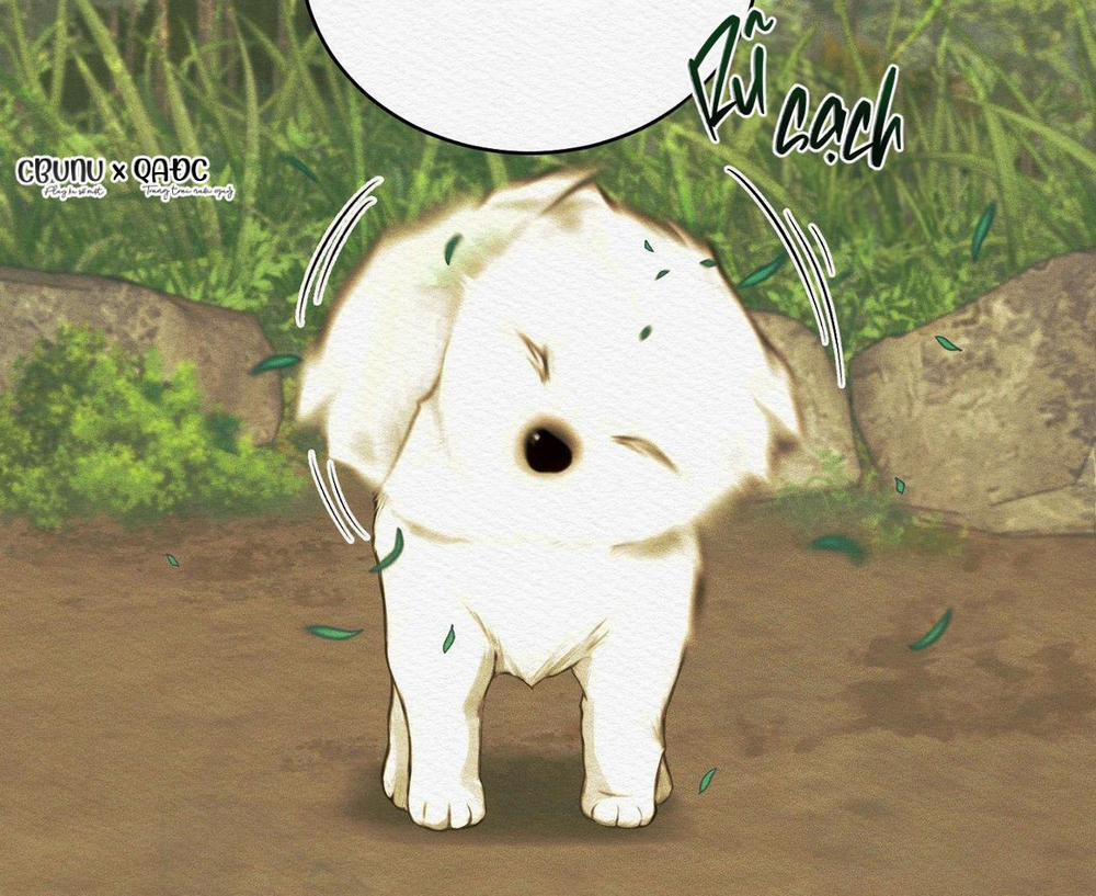 Củy Dạ Khút 39 trang 5