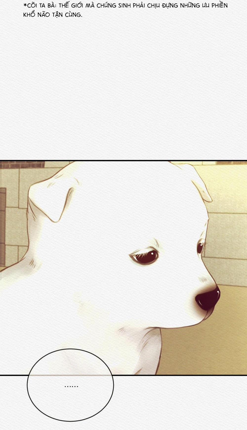 Củy Dạ Khút 61 trang 19