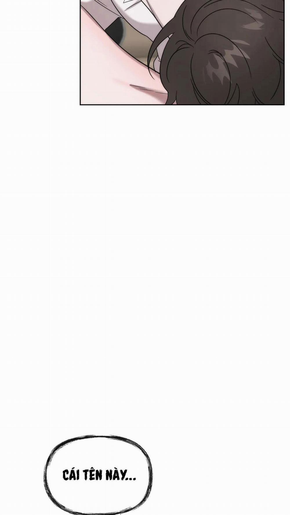 Đã Hiểu Chưa 11 trang 11