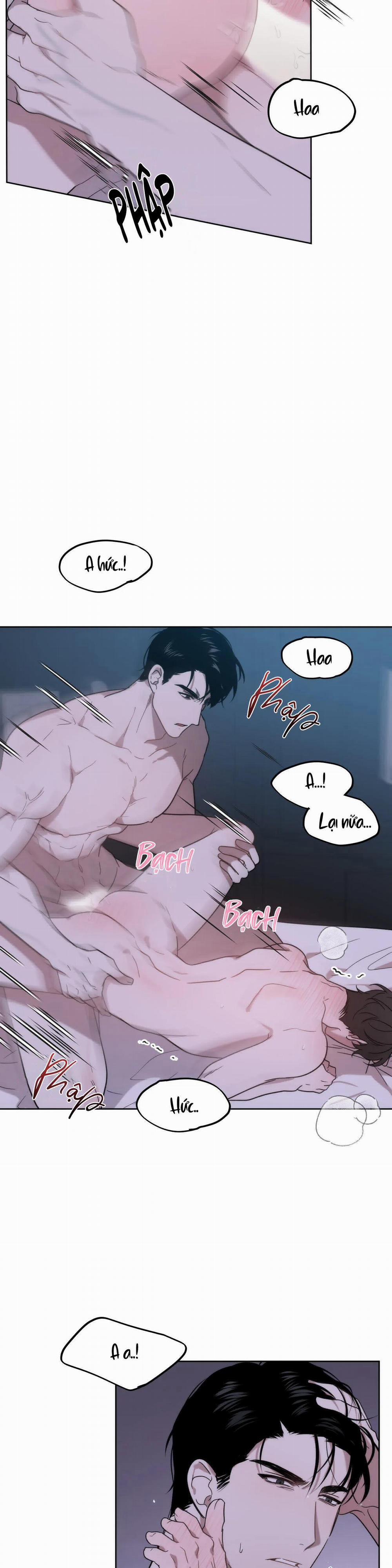 Đã Hiểu Chưa 12 trang 15