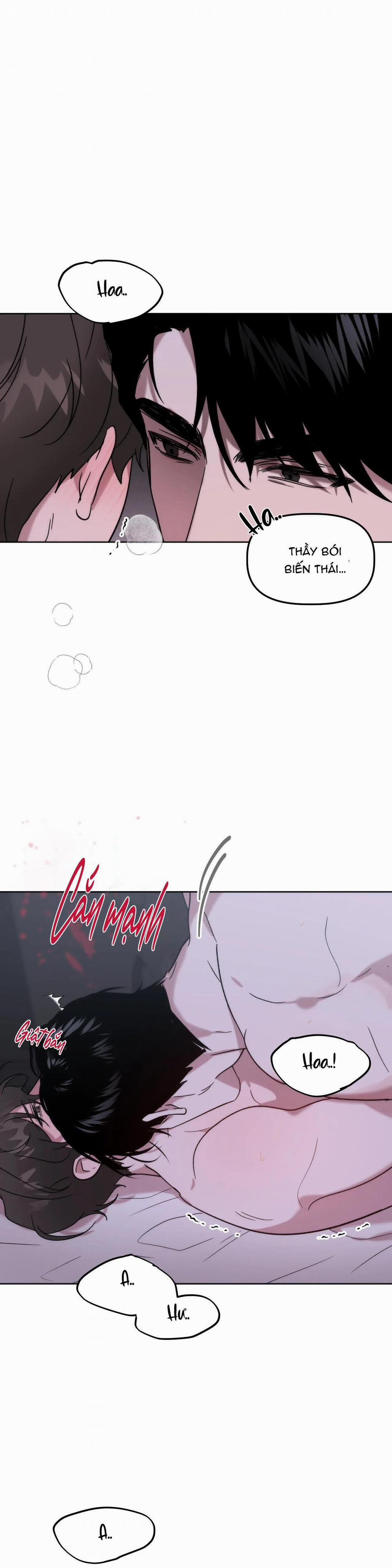 Đã Hiểu Chưa 12 trang 20