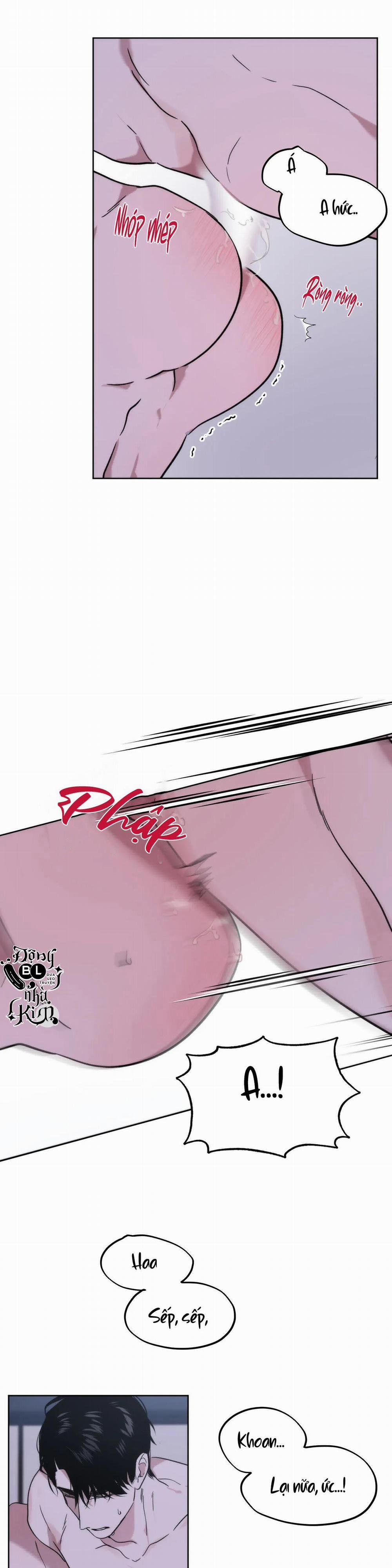 Đã Hiểu Chưa 12 trang 21