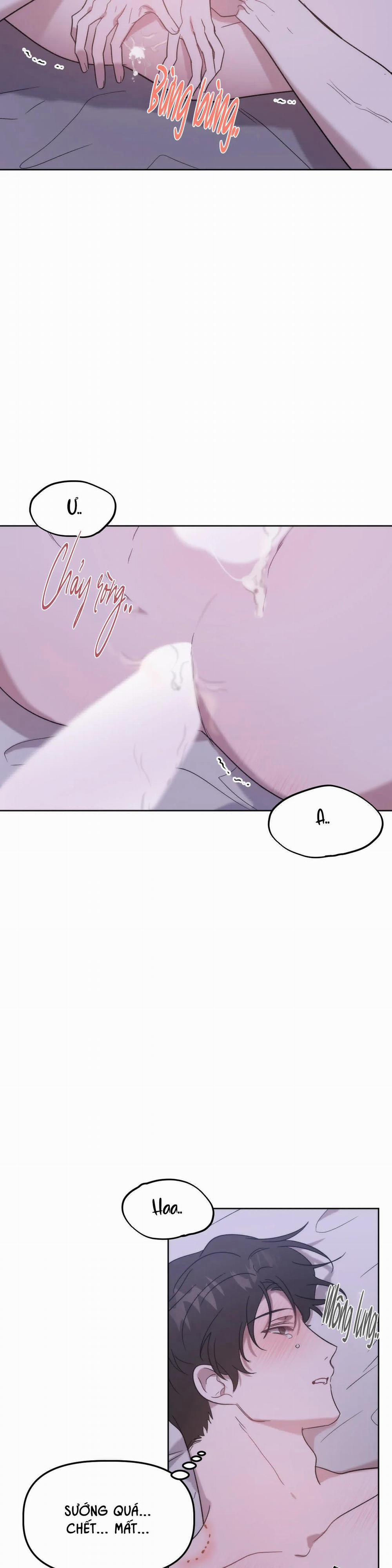 Đã Hiểu Chưa 12 trang 23