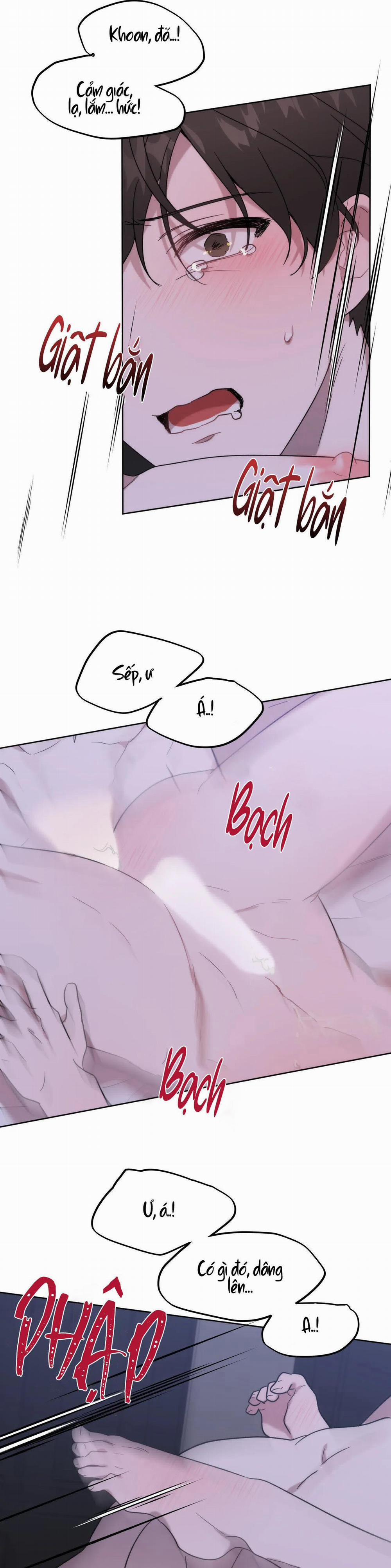 Đã Hiểu Chưa 12 trang 26