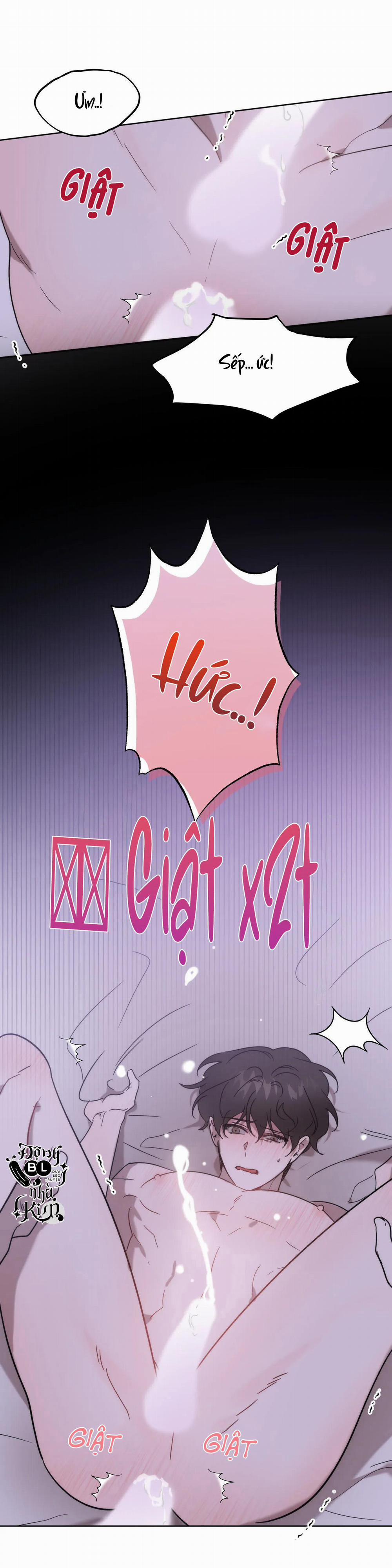 Đã Hiểu Chưa 12 trang 28