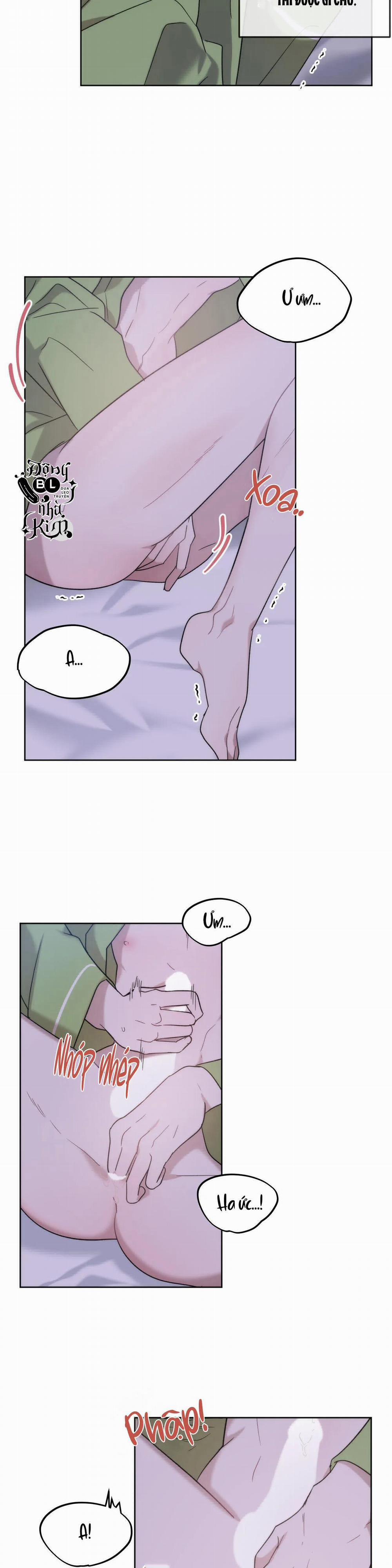 Đã Hiểu Chưa 12 trang 4