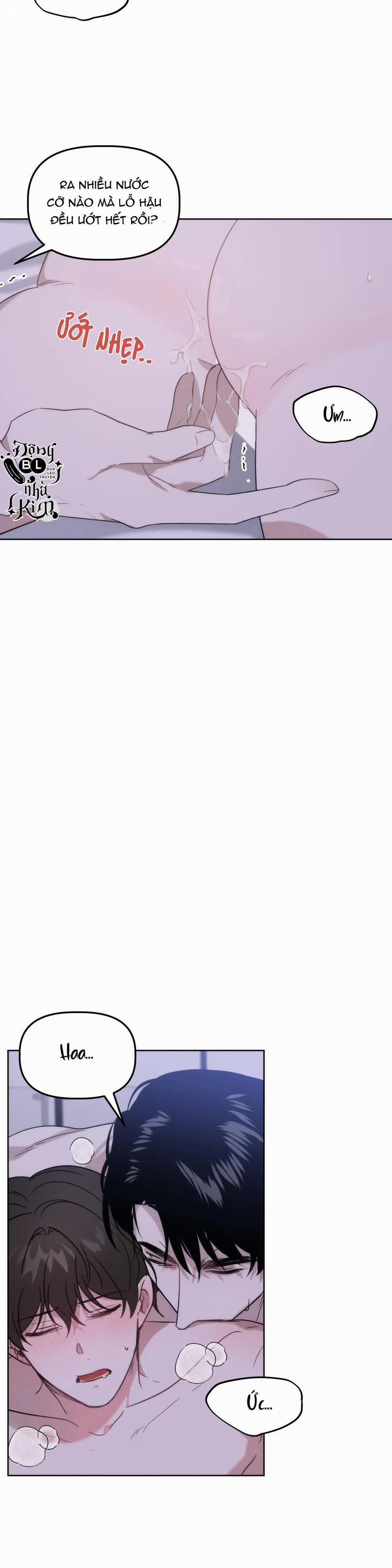 Đã Hiểu Chưa 12 trang 8