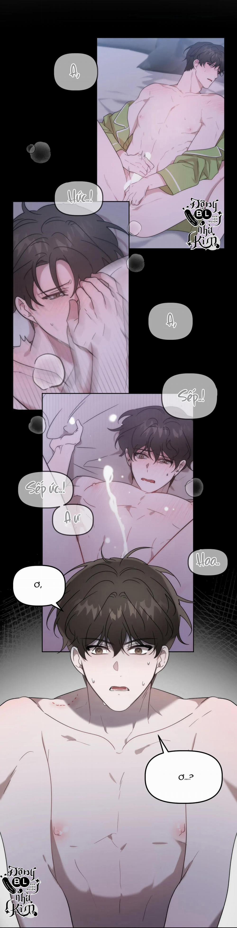 Đã Hiểu Chưa 13 trang 33