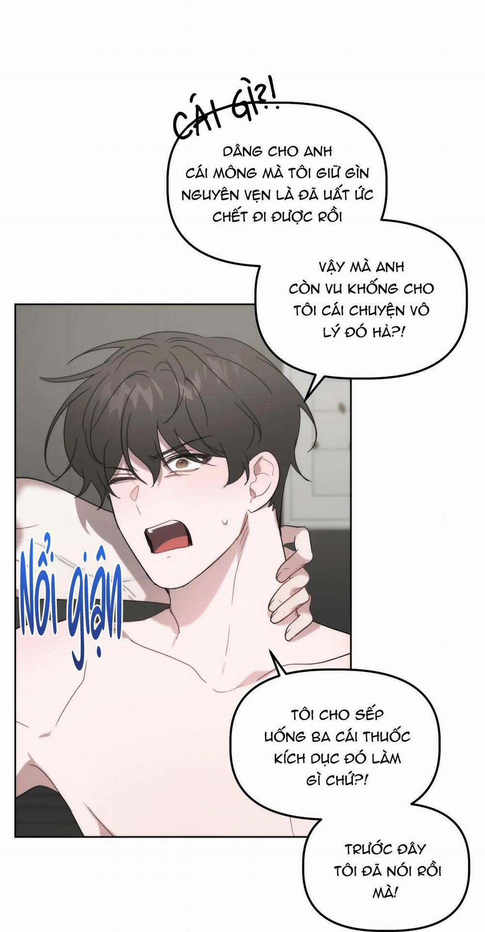 Đã Hiểu Chưa 13 trang 40