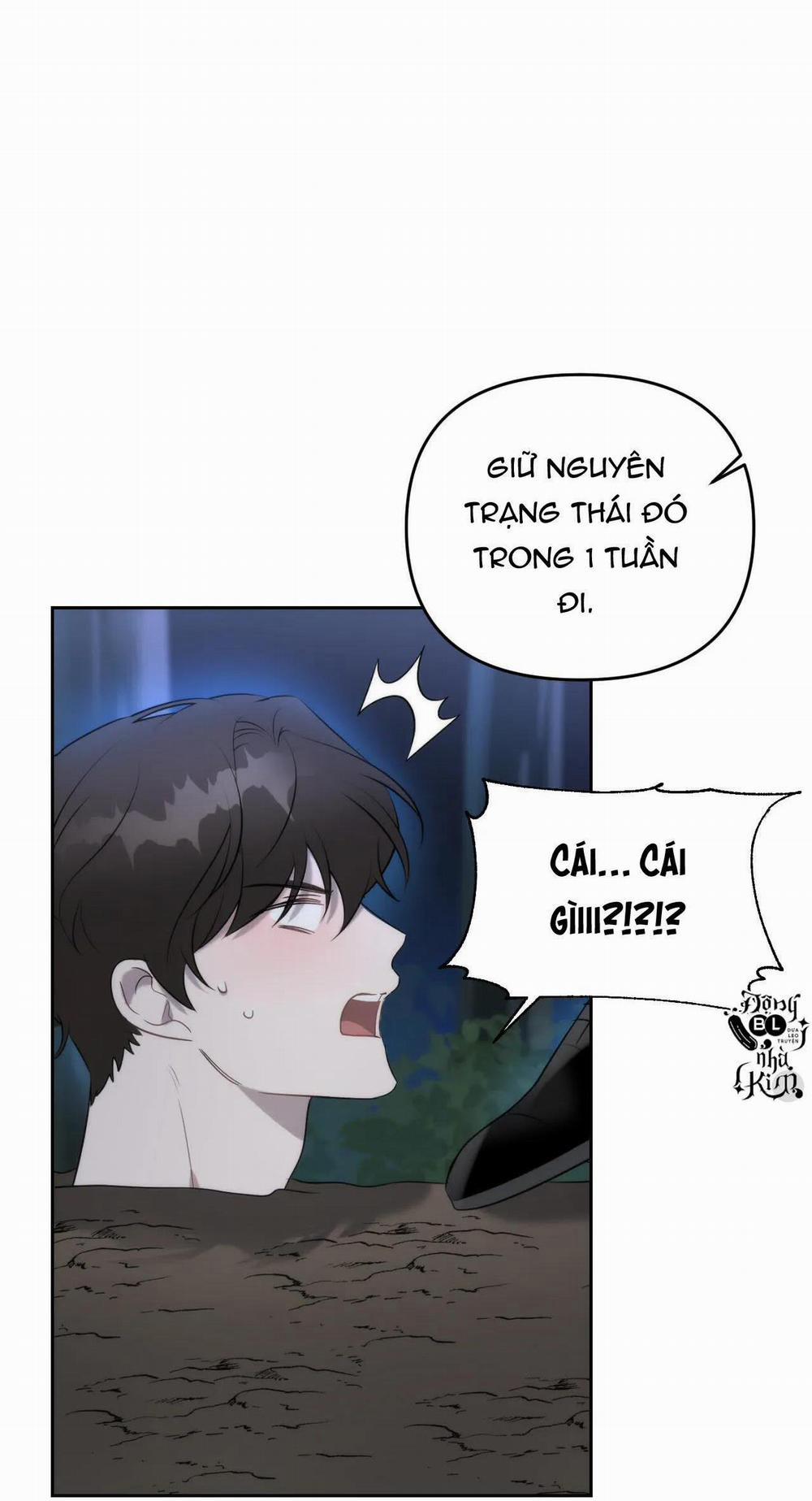 Đã Hiểu Chưa 2 trang 47