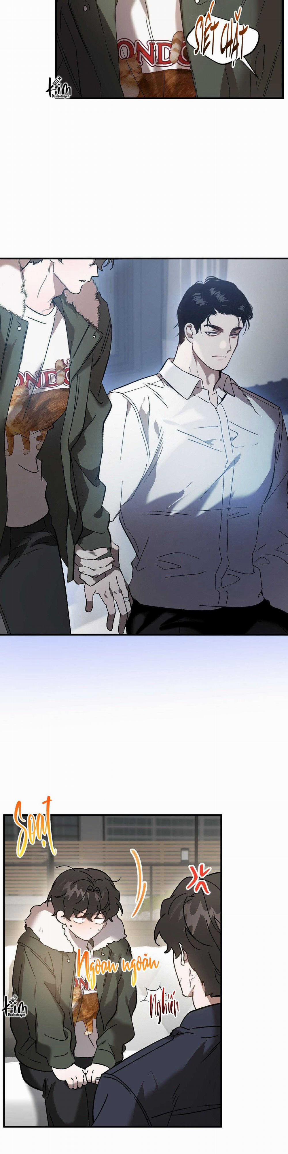 Đã Hiểu Chưa 61 trang 11