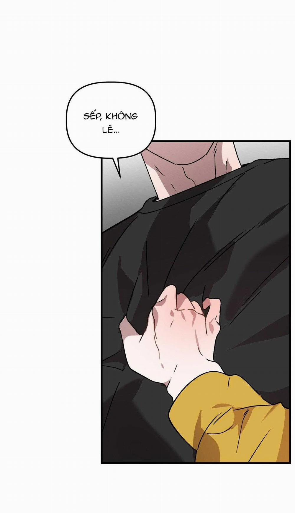 Đã Hiểu Chưa 66 trang 14