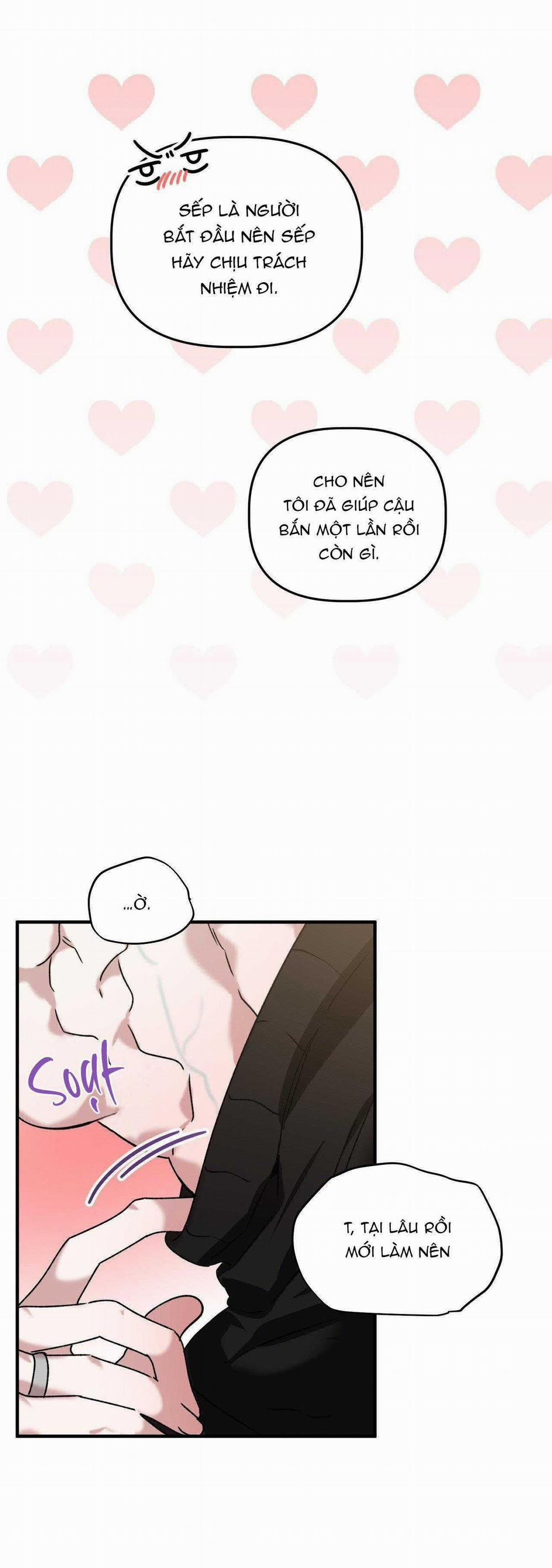 Đã Hiểu Chưa 66 trang 19