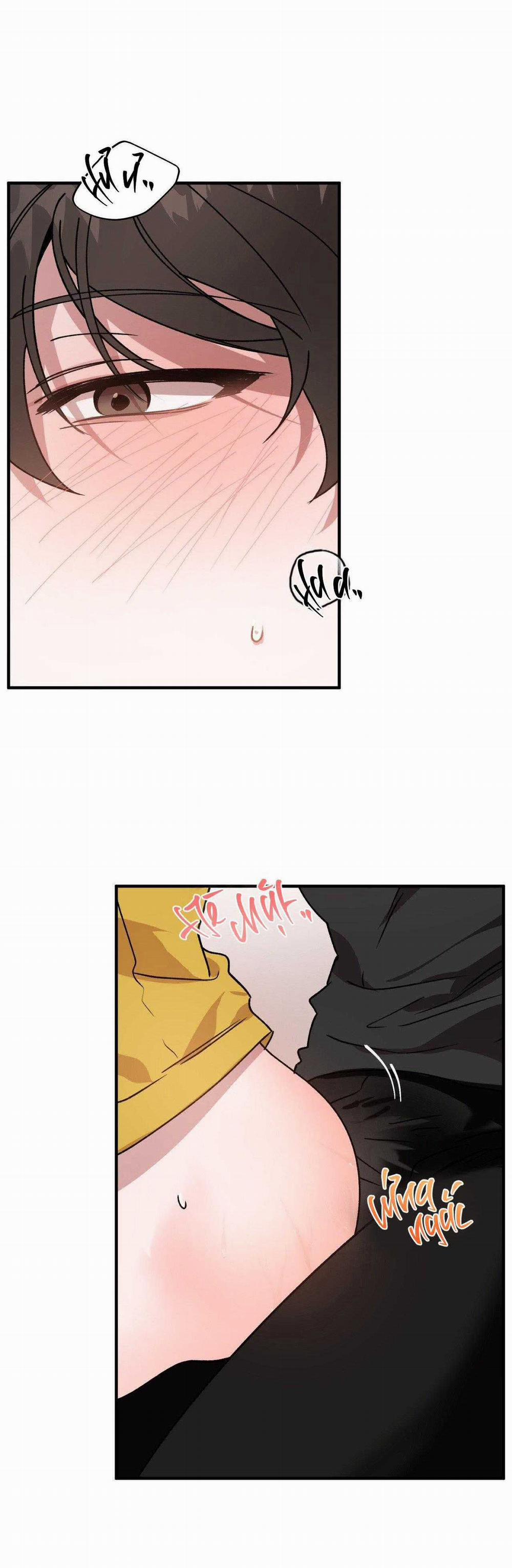 Đã Hiểu Chưa 66 trang 5