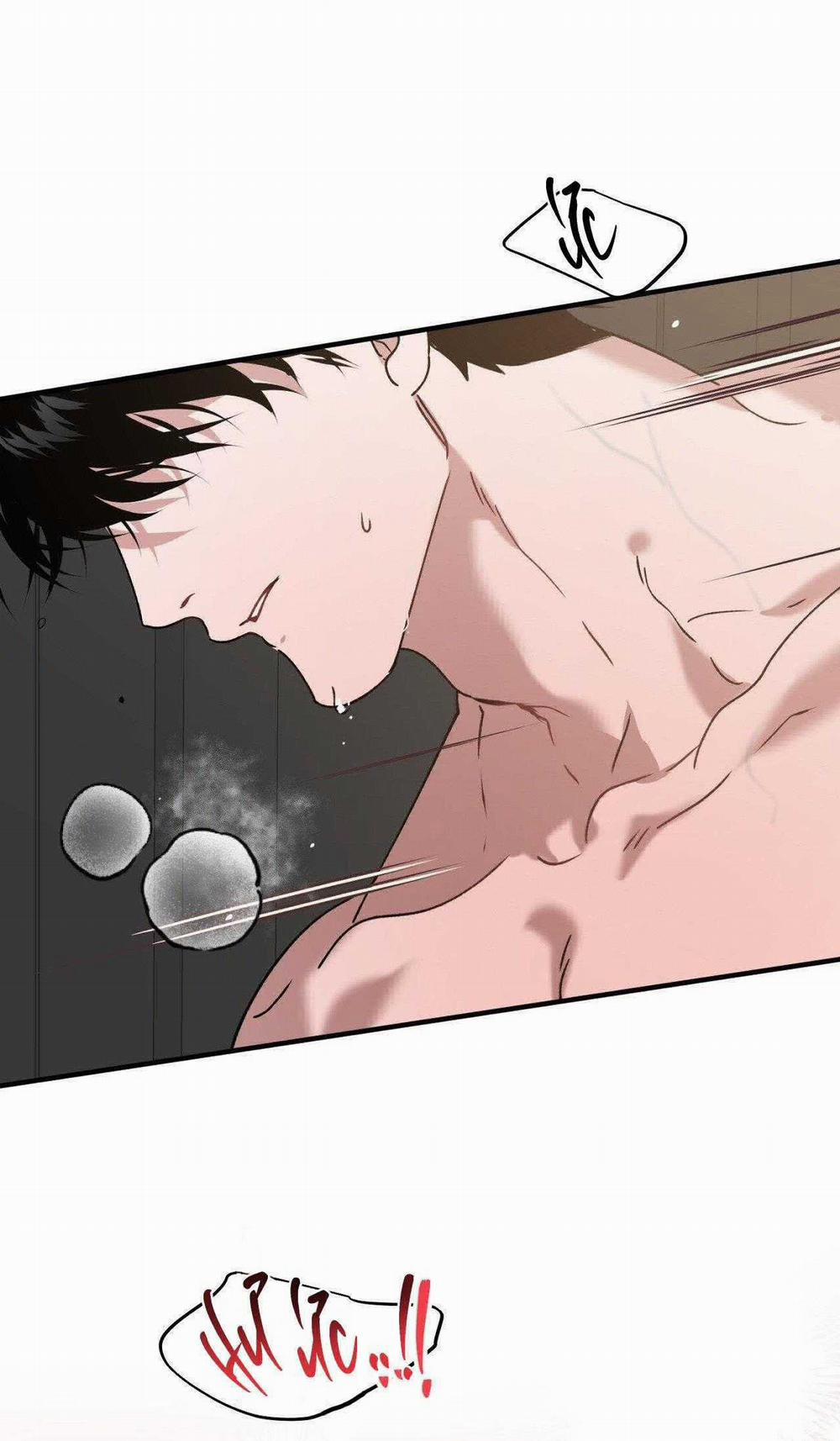 Đã Hiểu Chưa 66 trang 51