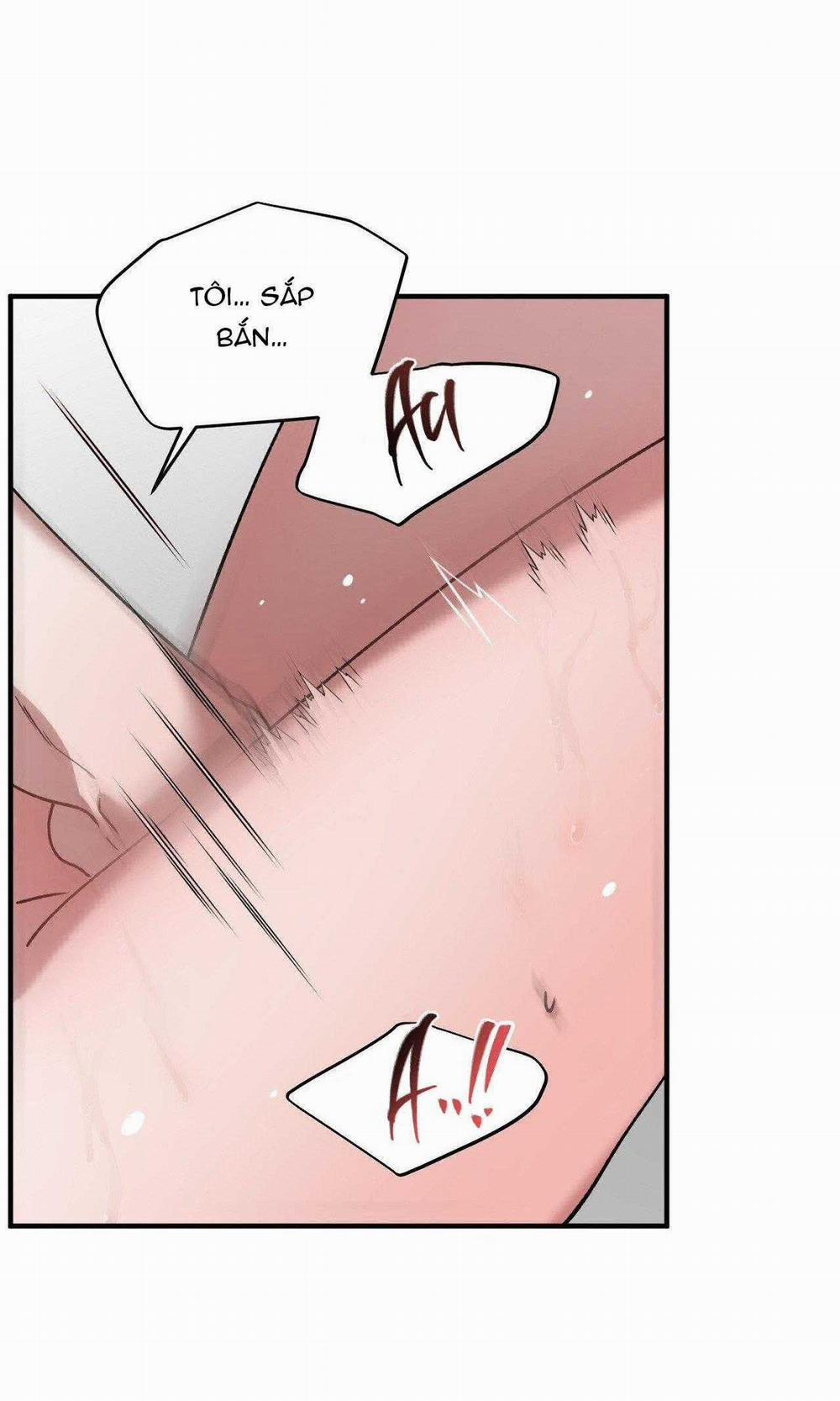 Đã Hiểu Chưa 66 trang 9