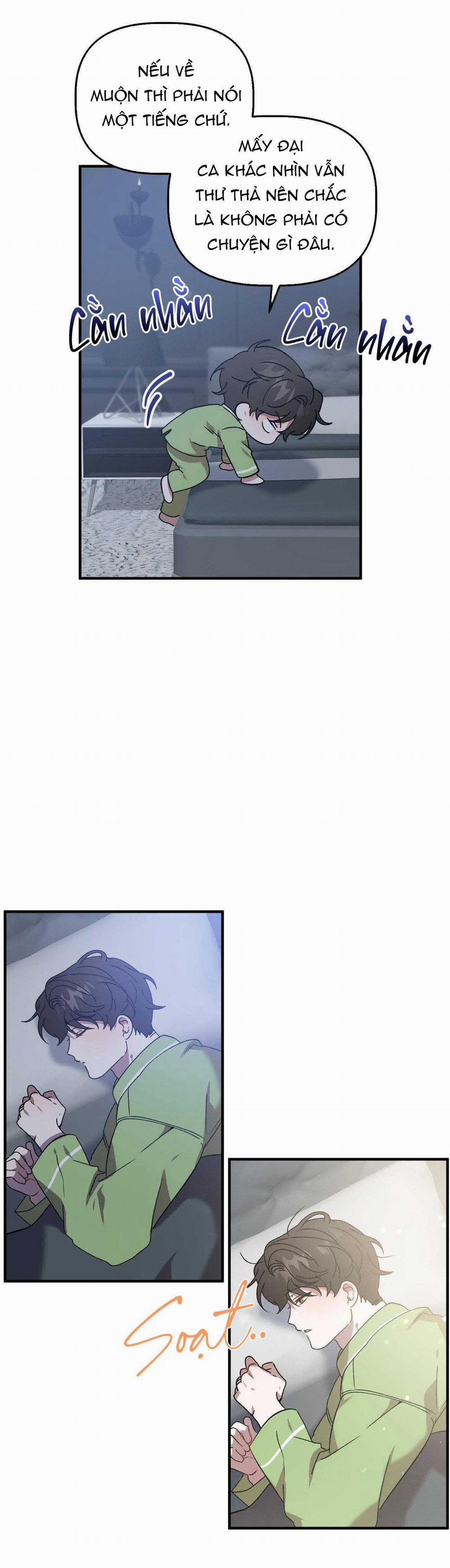 Đã Hiểu Chưa 67 trang 17