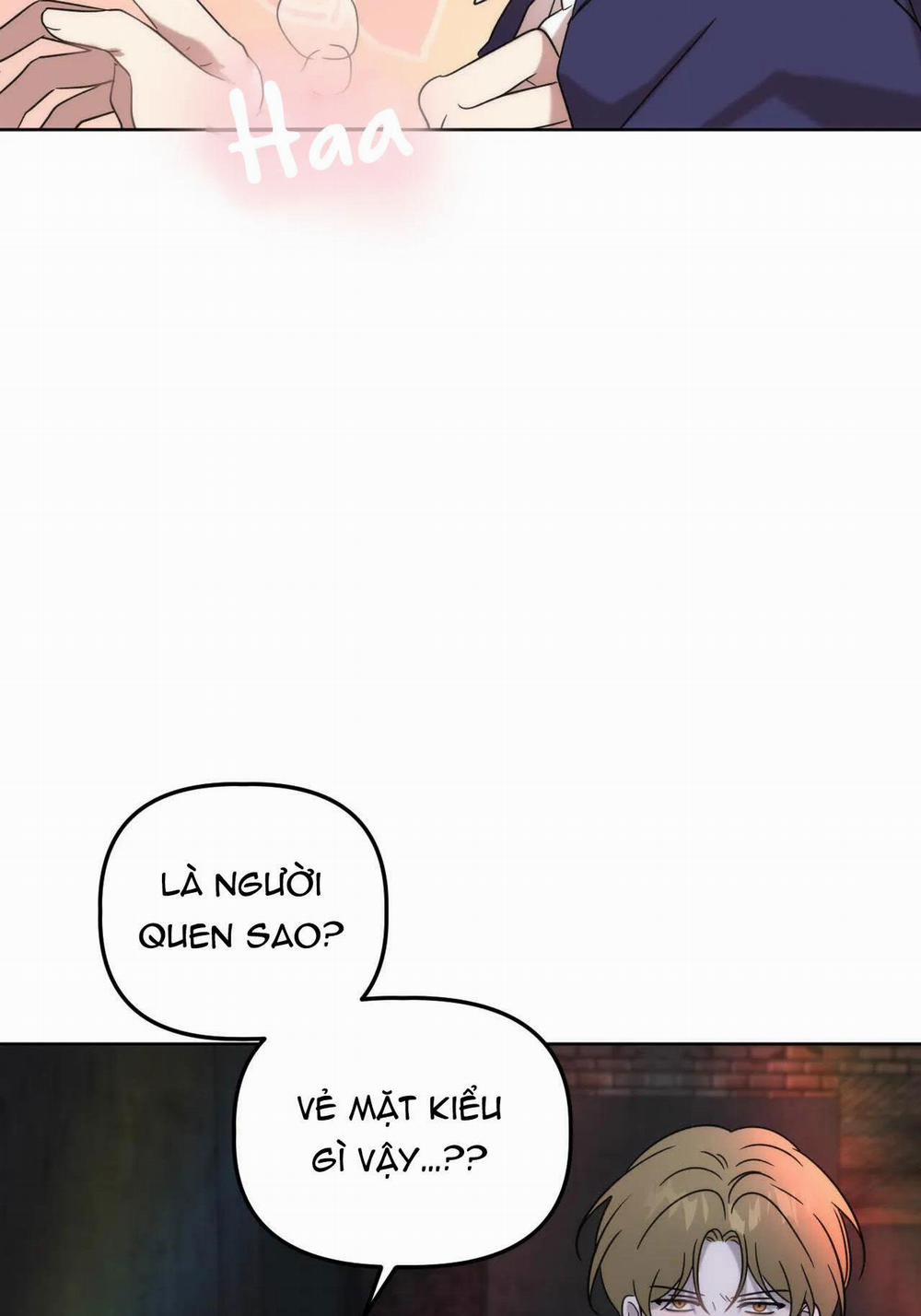 Đã Hiểu Chưa 9 trang 47