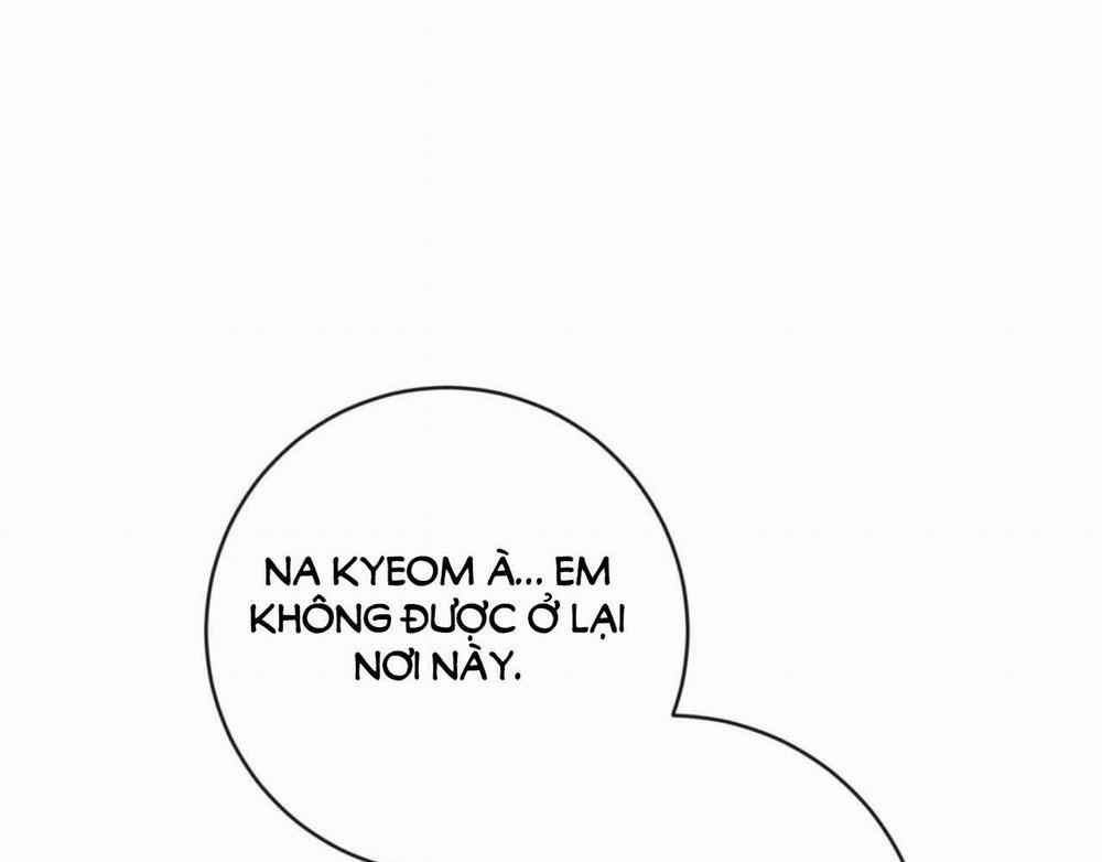 Dạ Ký – Vãn Dạ Họa Nhân 126.2 trang 48