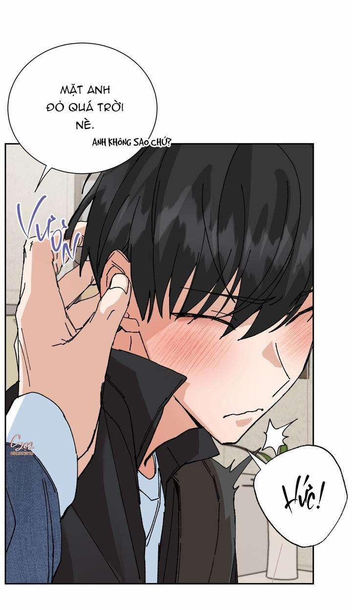 ĐẶC QUYỀN CHO CẶP ĐÔI MỚI CƯỚI 0 0 trang 12