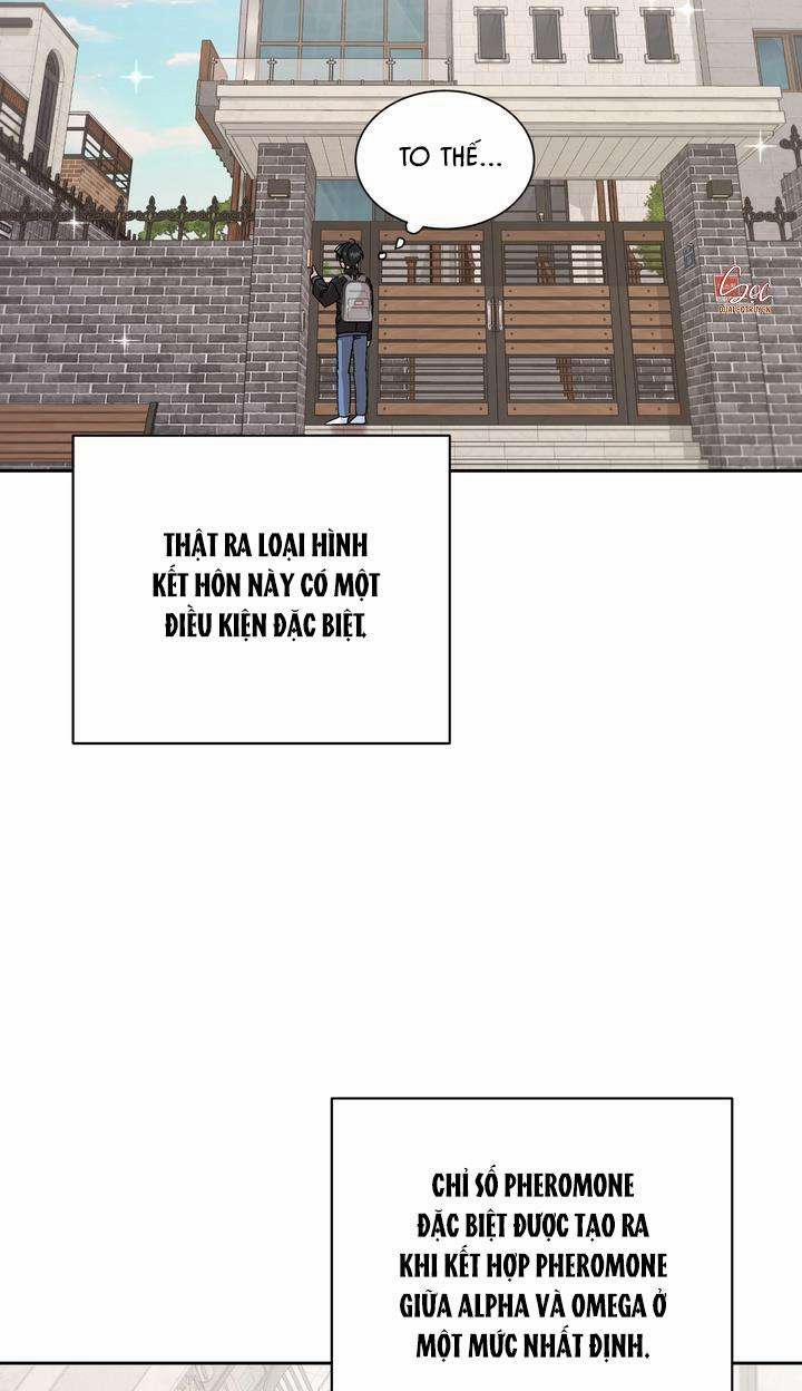 ĐẶC QUYỀN CHO CẶP ĐÔI MỚI CƯỚI 0 0 trang 21