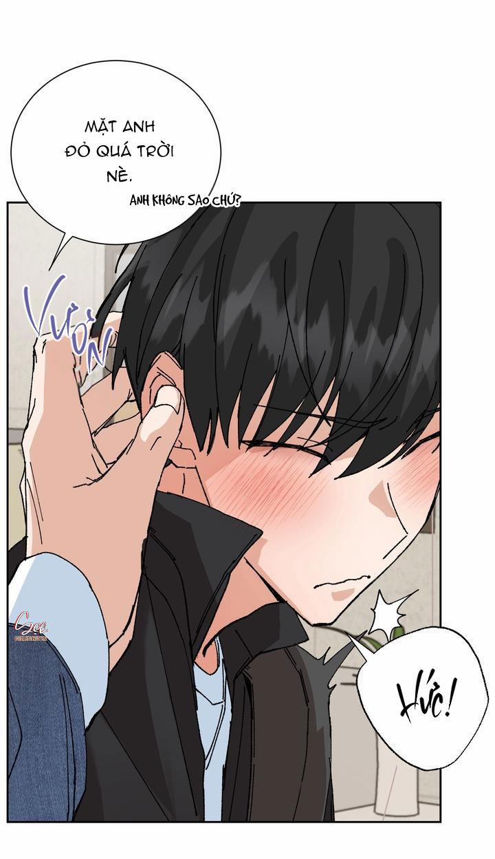 ĐẶC QUYỀN CHO CẶP ĐÔI MỚI CƯỚI 2 0 trang 12