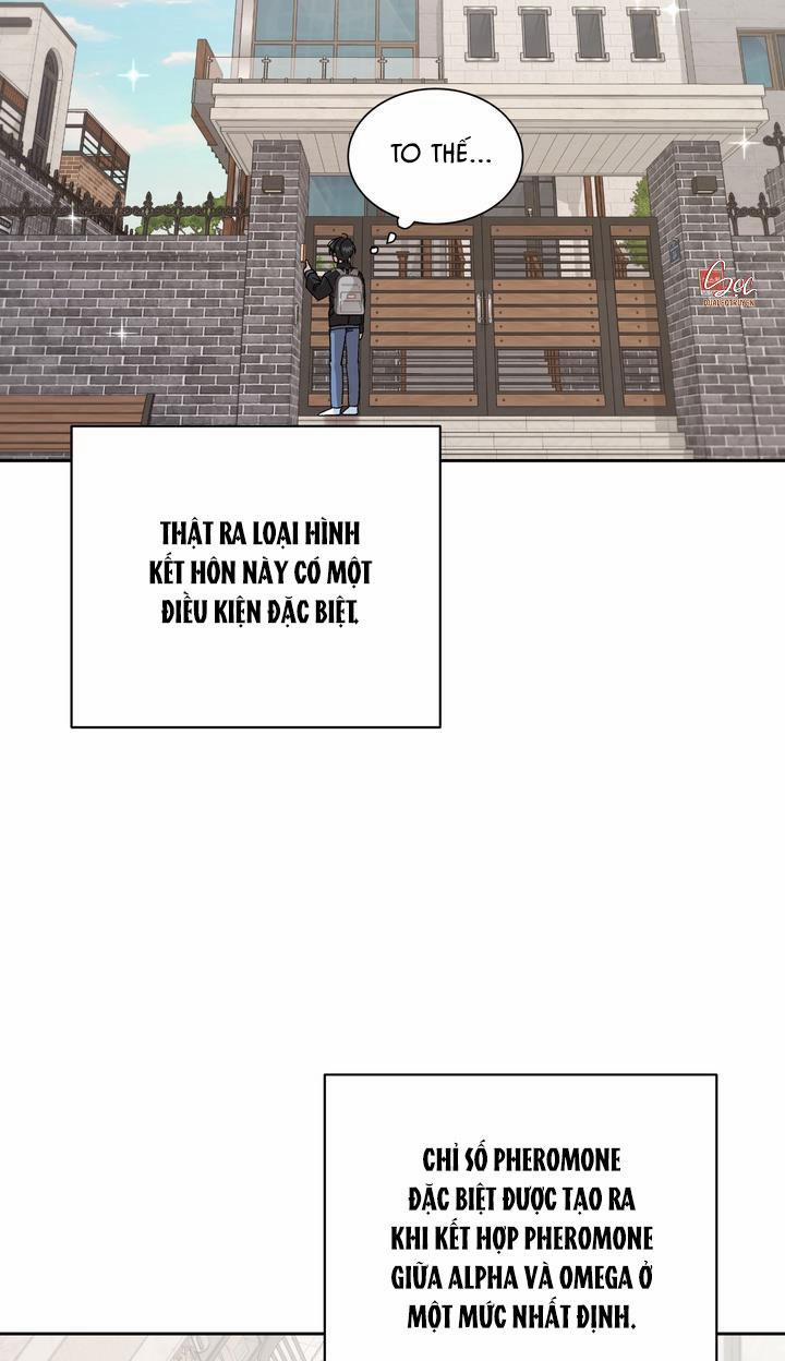 ĐẶC QUYỀN CHO CẶP ĐÔI MỚI CƯỚI 2 0 trang 21