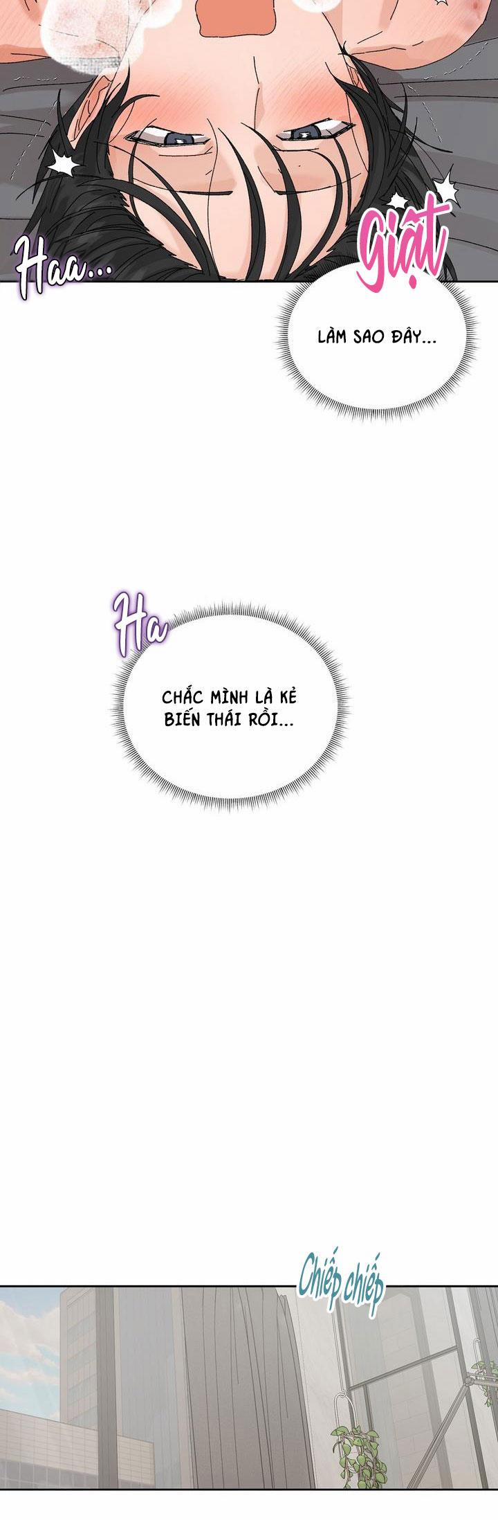 ĐẶC QUYỀN CHO CẶP ĐÔI MỚI CƯỚI 24 trang 28