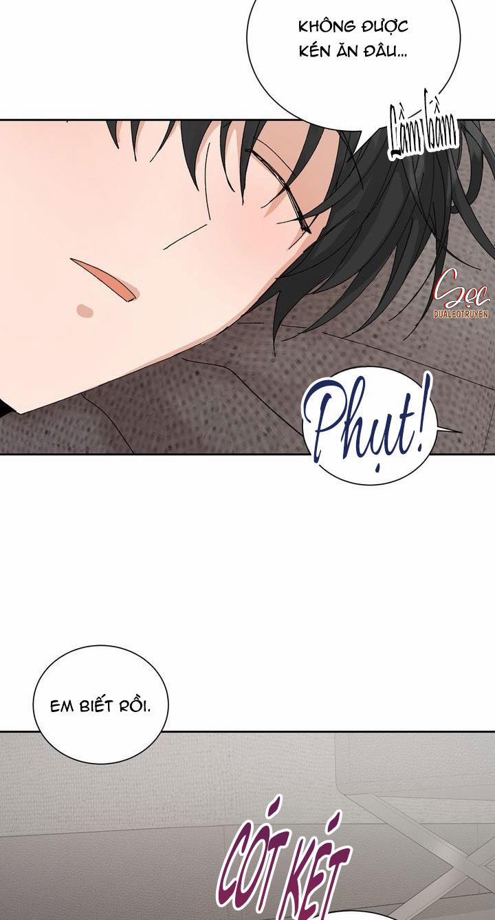 ĐẶC QUYỀN CHO CẶP ĐÔI MỚI CƯỚI 24 trang 36