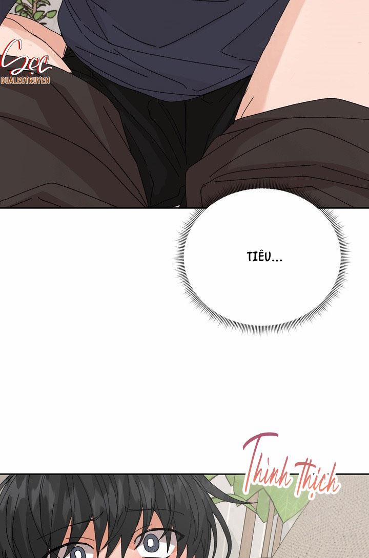 ĐẶC QUYỀN CHO CẶP ĐÔI MỚI CƯỚI 25 trang 33