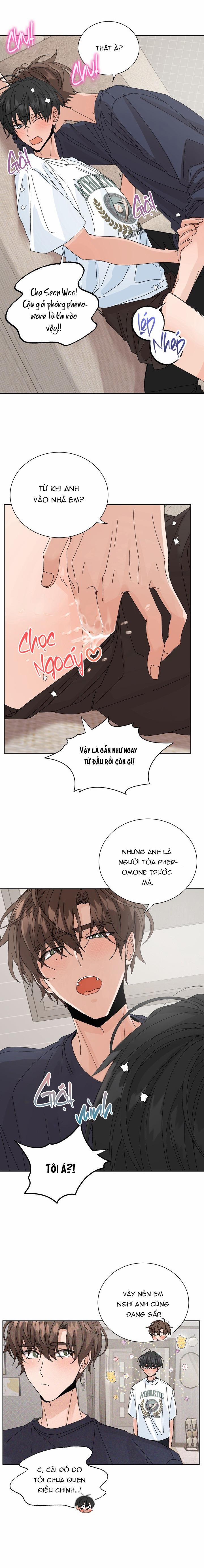 ĐẶC QUYỀN CHO CẶP ĐÔI MỚI CƯỚI 26 trang 2