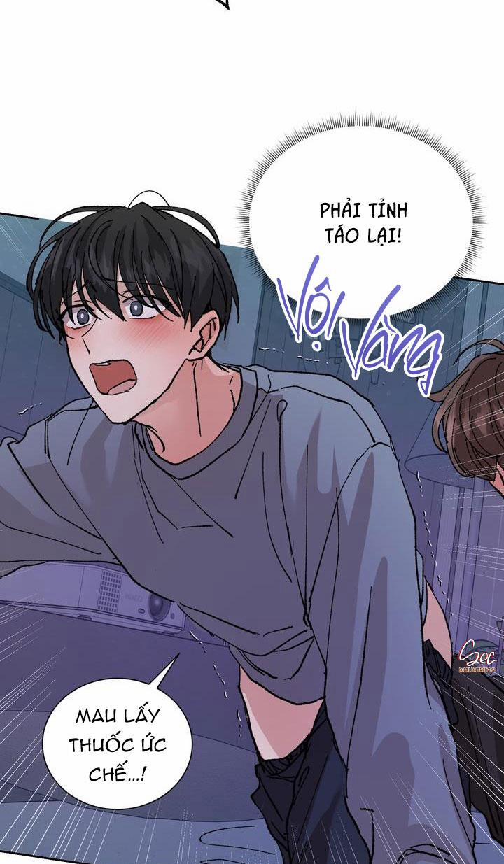 ĐẶC QUYỀN CHO CẶP ĐÔI MỚI CƯỚI 3: H+ trang 8