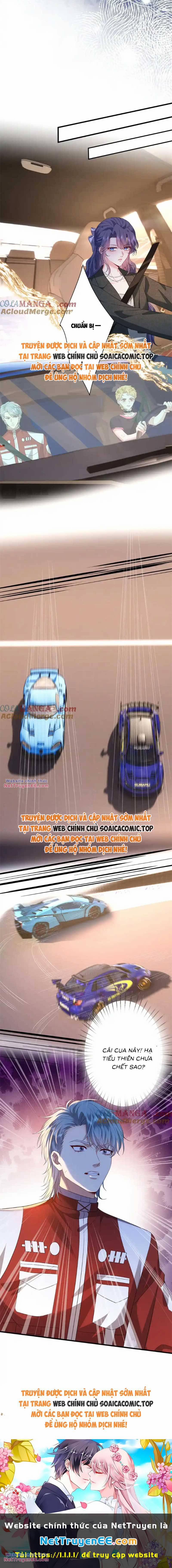 Đại Boss Thần Bí Lại Chiều Hư Vợ 38 trang 5